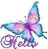 Hello