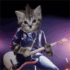 Rock On! Kittie