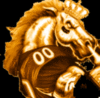 Denver Broncos