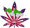 Puerto Rican Pot leaf