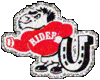 Rider_Broncos