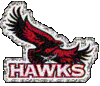 St._Joseph's_Hawks