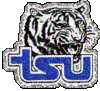 Tennessee State Tigers