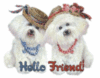 HELLO FRIEND