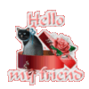 Hello My Friend