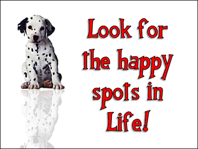 Look For The Happy Spots In Life