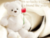friend teddy bear