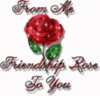 friendship rose