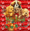 puppies