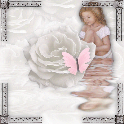 pink butterfly